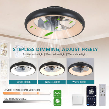 20" Black Iron LED Ceiling Fan Light - Dimmable Remote Control