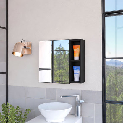 2-Shelf Medicine Cabinet with Mirror Wenge