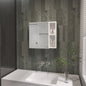 Myrick 2-Shelf Medicine Cabinet with Mirror White