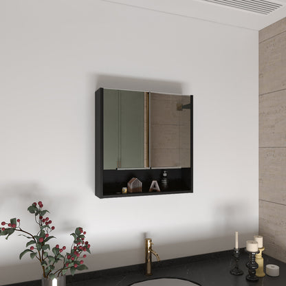 Rectangle Medicine Cabinet with Mirror Wenge
