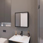 Wenge Medicine Cabinet with Included Mirror and 1 Door