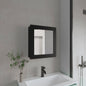 Medicine Cabinet 20.5" H, with 2 Shelves, 1 Door, and 1 Mirror, Black