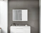 Nome Medicine Cabinet with Interior Storage Compartments, White