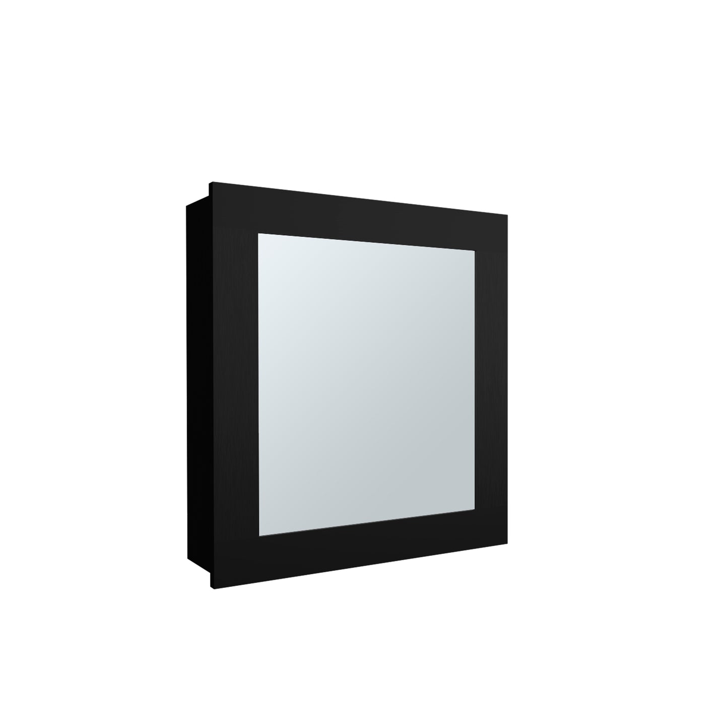 Black Wall Mounted Medicine Cabinet with Mirror