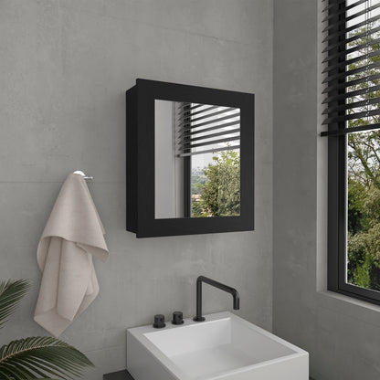 Luma Medicine Cabinet with Mirror Door 20.5" High Cabinet Organizer with Two interior Shelves  for Bathroom, Kitchen, Mudroom