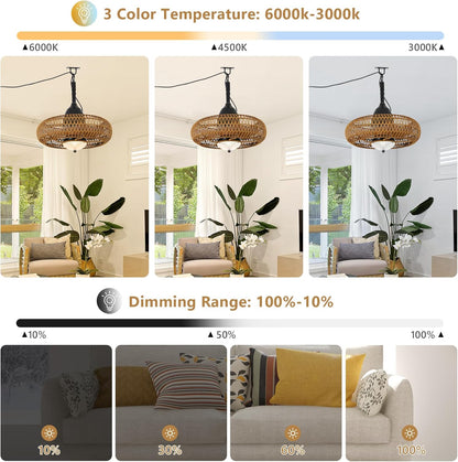 Brown Iron Outdoor Ceiling Fan with Lights Remote Control
