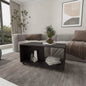 Wengue Coffee Table with Open Storage and Caster Wheels