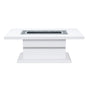 ARIYA WHITE COFFEE TABLE