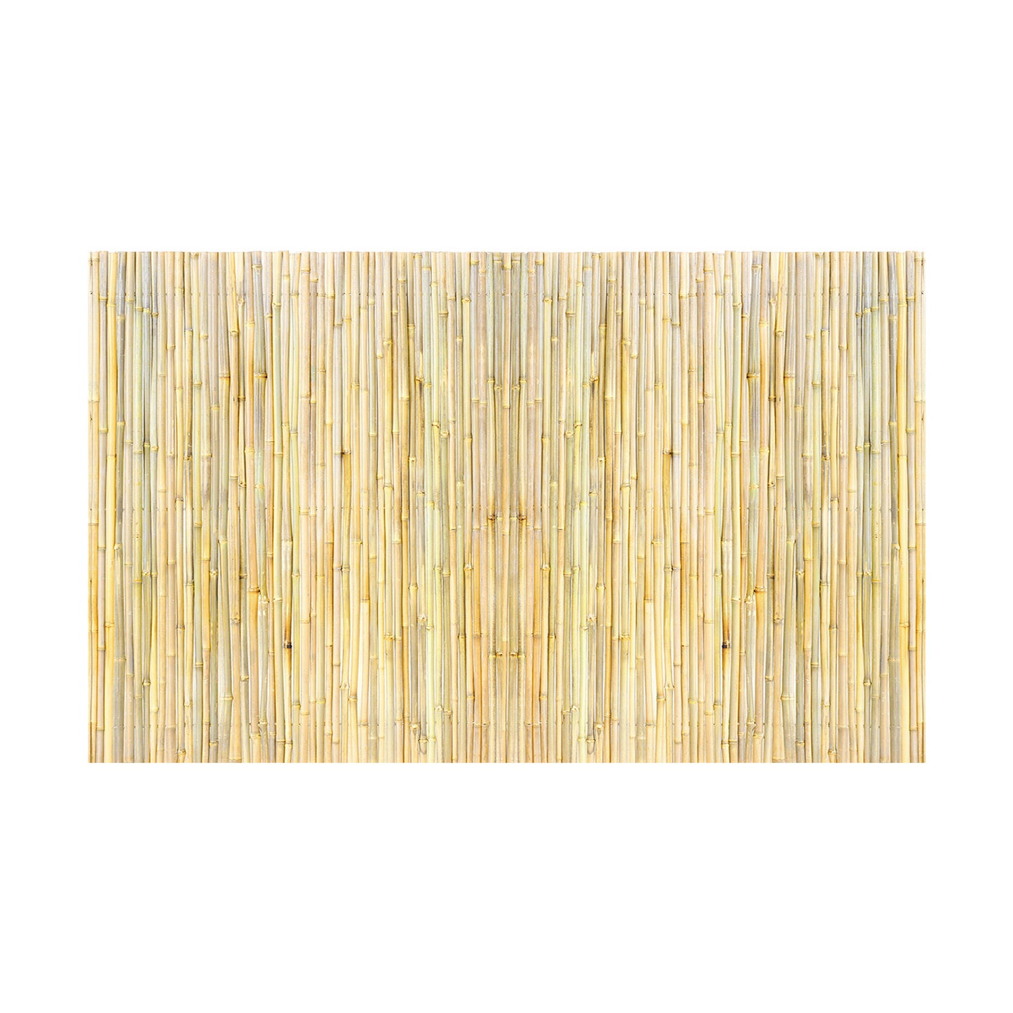 Natural Rolled Bamboo Fence Bamboo Panel 4 ft H x 8 ft L x 0.75 in D.