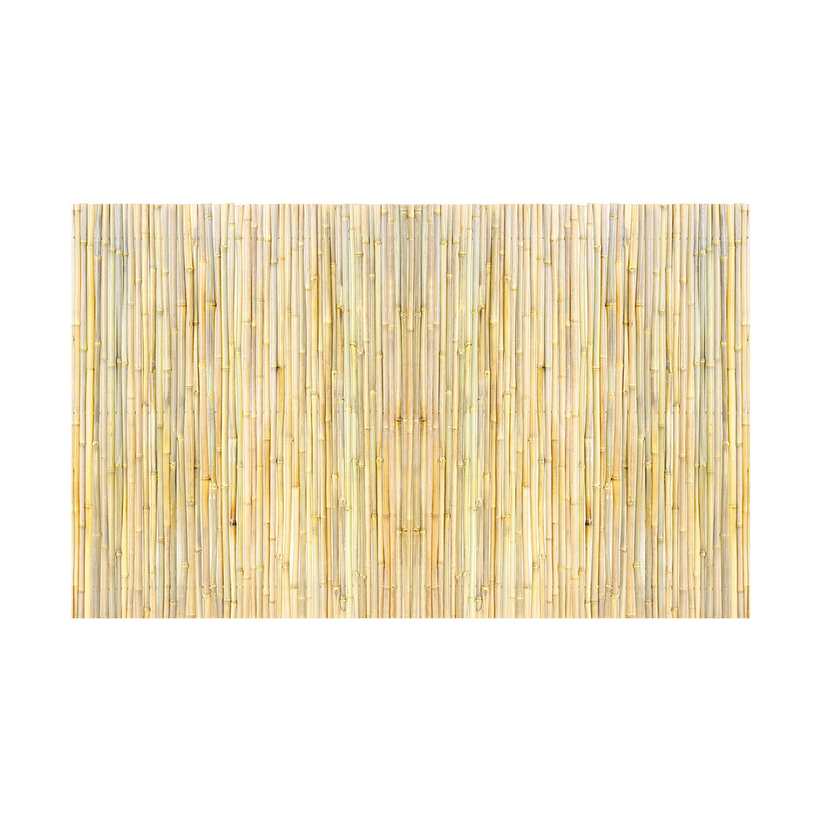 Natural Rolled Bamboo Fence Bamboo Panel 4 ft H x 8 ft L x 0.75 in D.
