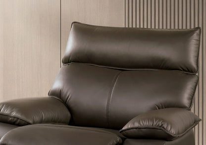 Brown Leather Recliner Chair - Contemporary Style