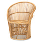 Modern Bohemian Natural Brown Rattan Accent Chair