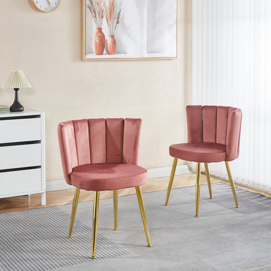 Modern PINK dining chair(set of 2 ) with iron tube golden color legs, velvet and comfortable backrest, suitable for dining room, living room, cafe, simple structure.