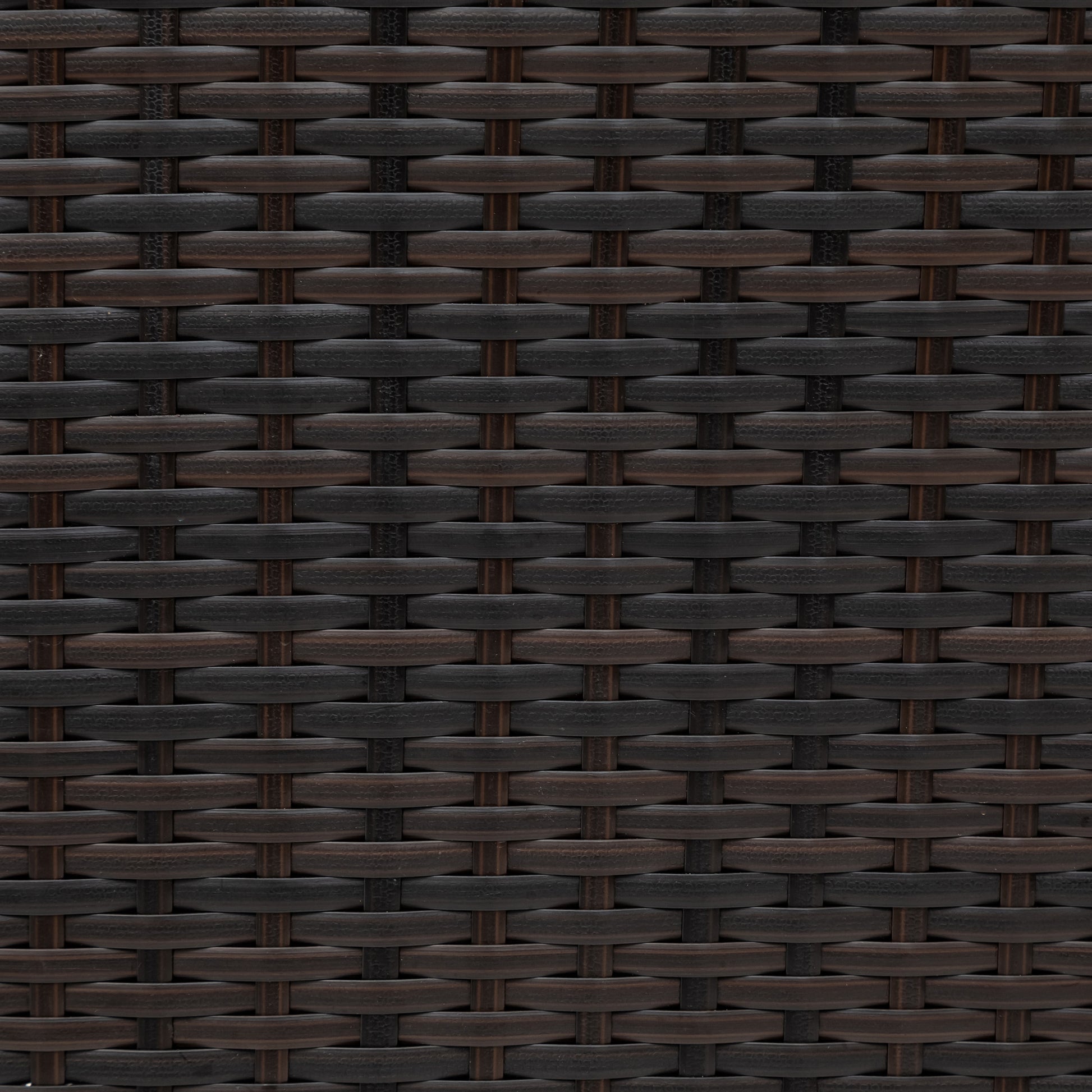 24764645