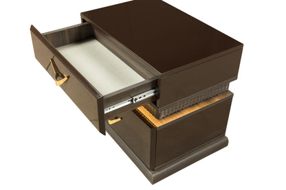 Brown Modern 2 Drawer Nightstand with LED Lights