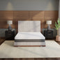 Omne Fria 10 Inch Queen Medium Firm Mattress With Cooling Cover