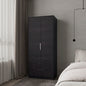 Forest 2 Door Wardrobe with Hanging Rod and 2 Drawers, Wengue