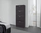 FM FURNITURE INOLA Vertical Shoe Cabinet with Doors for Home Organization, WENGUE