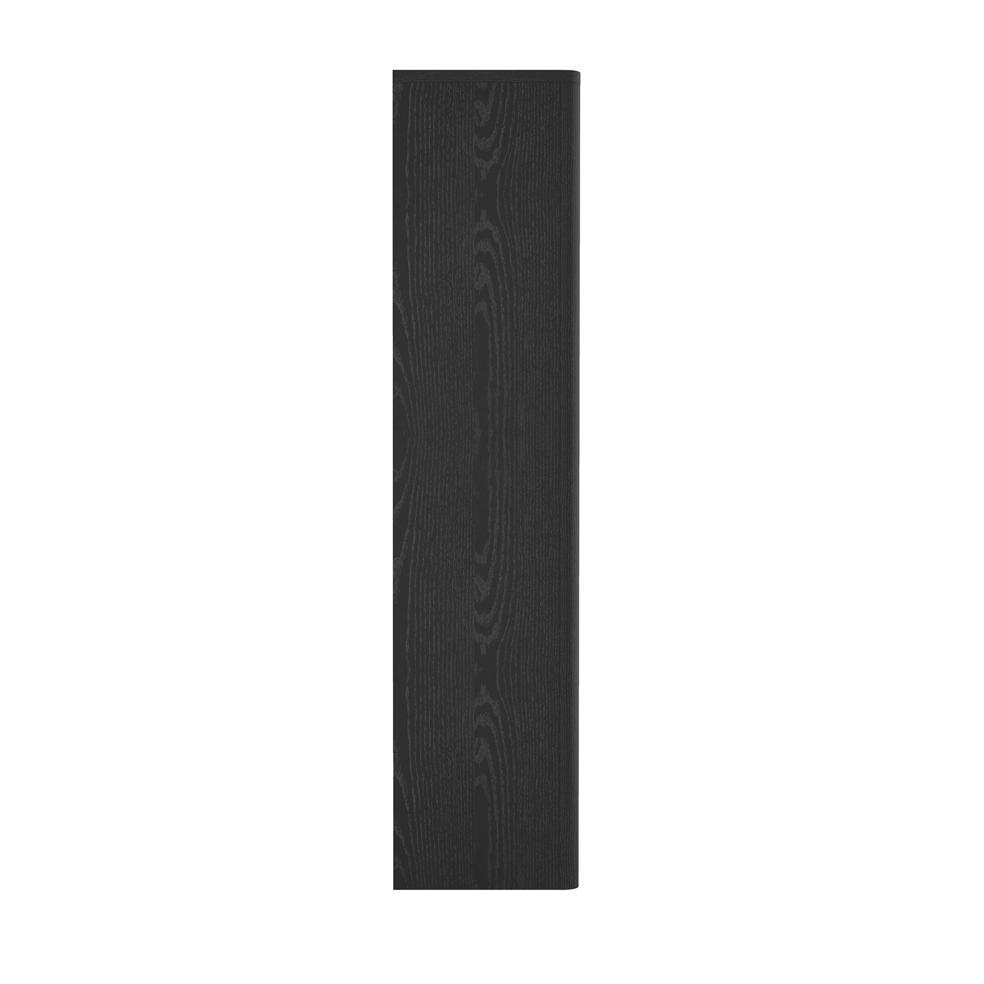 Black Bookcase Cabinet - 38" Storage Shelf