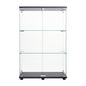 Two Door Glass Cabinet Glass Display Cabinet with 3 Shelves, Black