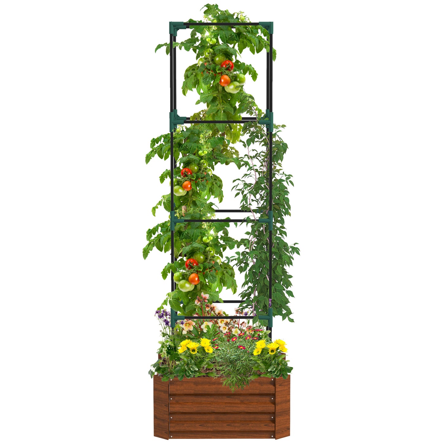Outsunny Galvanized Raised Garden Bed, 24" x 24" x 11.75" Outdoor Planter Box with Trellis Tomato Cage and Open Bottom for Climbing Vines, Vegetables, Flowers in Backyard, Garden, Patio, Brown