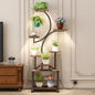 Plant Stand Indoor with Grow Lights - 62" Tall Plant Shelf, Lighted Corner Plant Stands for Indoor Growing, 8 Tiered Large Flower Holder, S-Shaped Decorative Rack for Living Room (WALNUT COLOR)