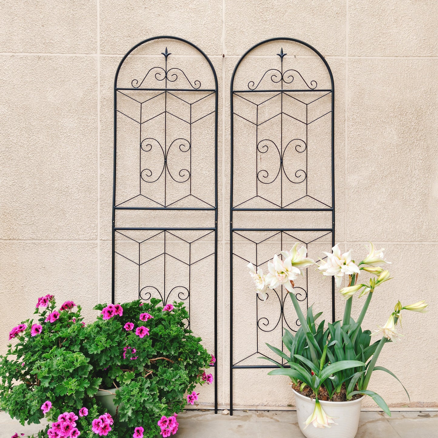 Black Iron Garden Trellis for Outdoor Climbing Plants and Patio Decor