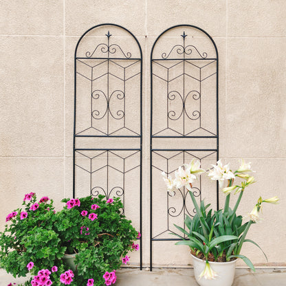 Black Iron Garden Trellis for Outdoor Climbing Plants and Patio Decor