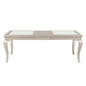 Modern Glamourous 1pc Dining Table with Separate Extension Leaf Cabriole Legs Insert Glass Panels Traditional Furniture