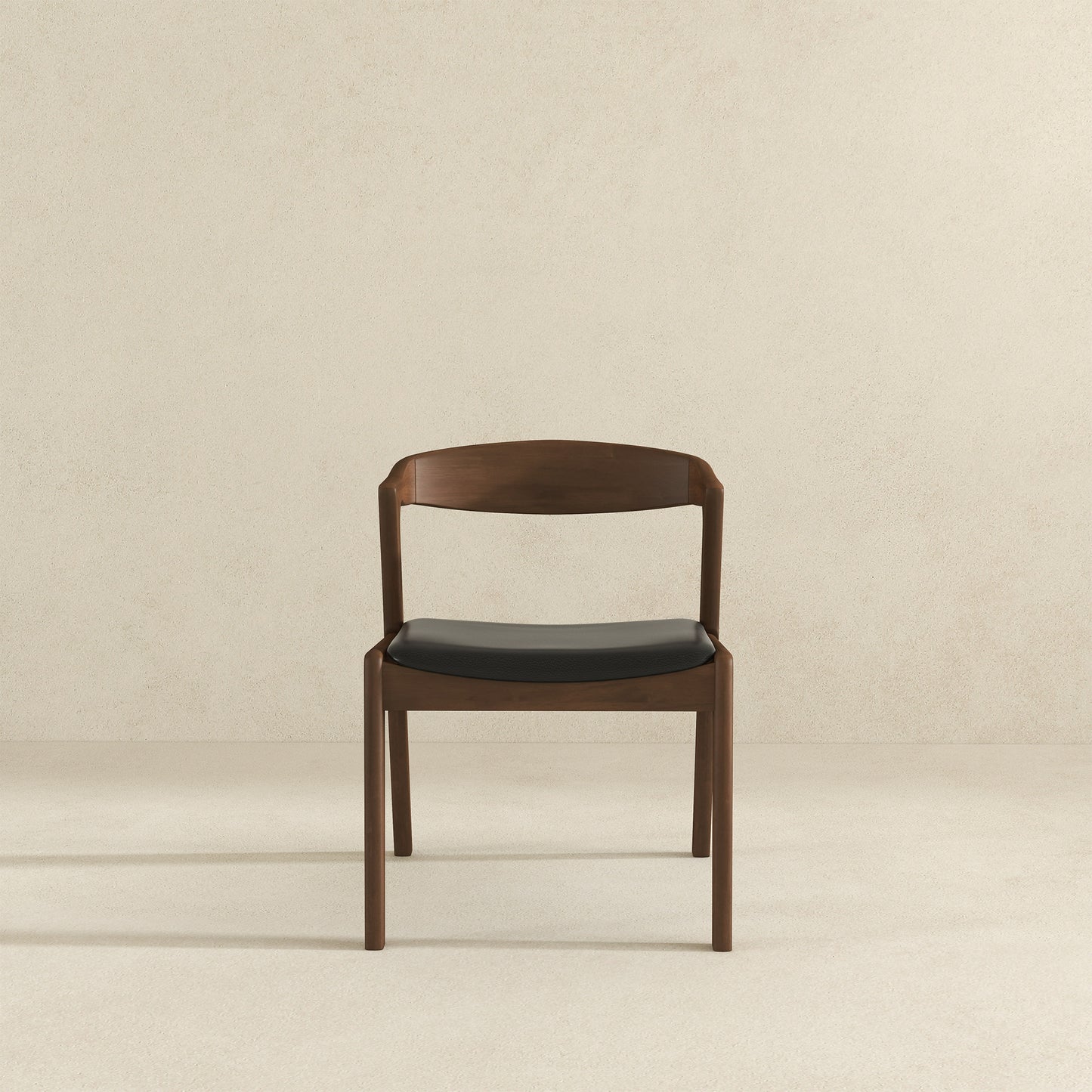 Mid-Century Modern Dining Chairs - Set of 2 for Dining Room