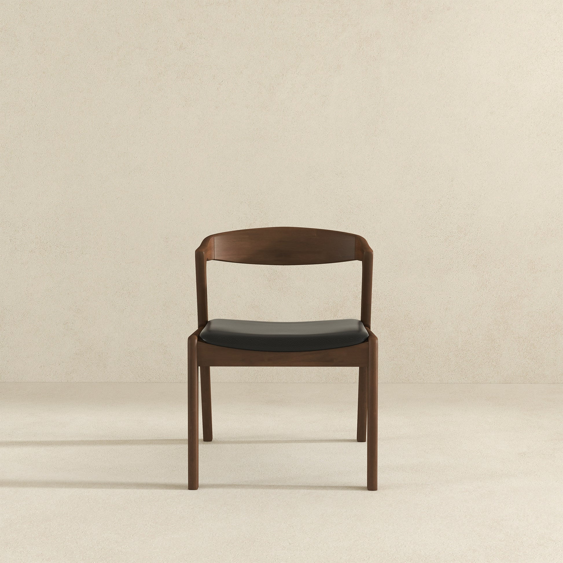 Mid-Century Modern Dining Chairs - Set of 2 for Dining Room