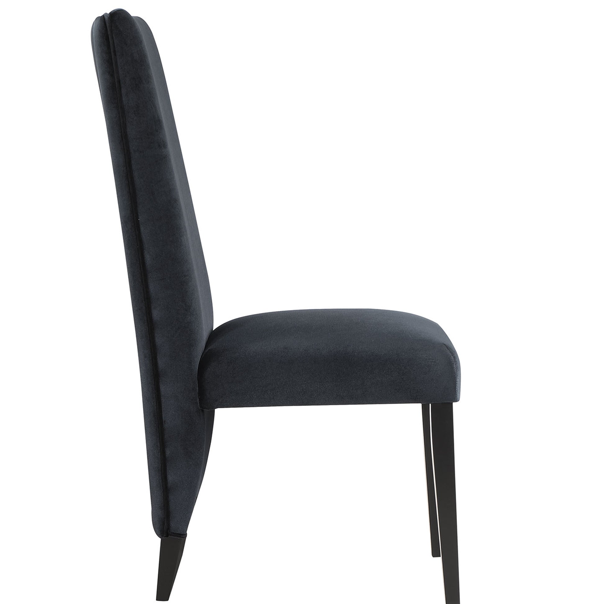 STACEY Black Dining Chairs Set of 2 - Modern Side Chairs