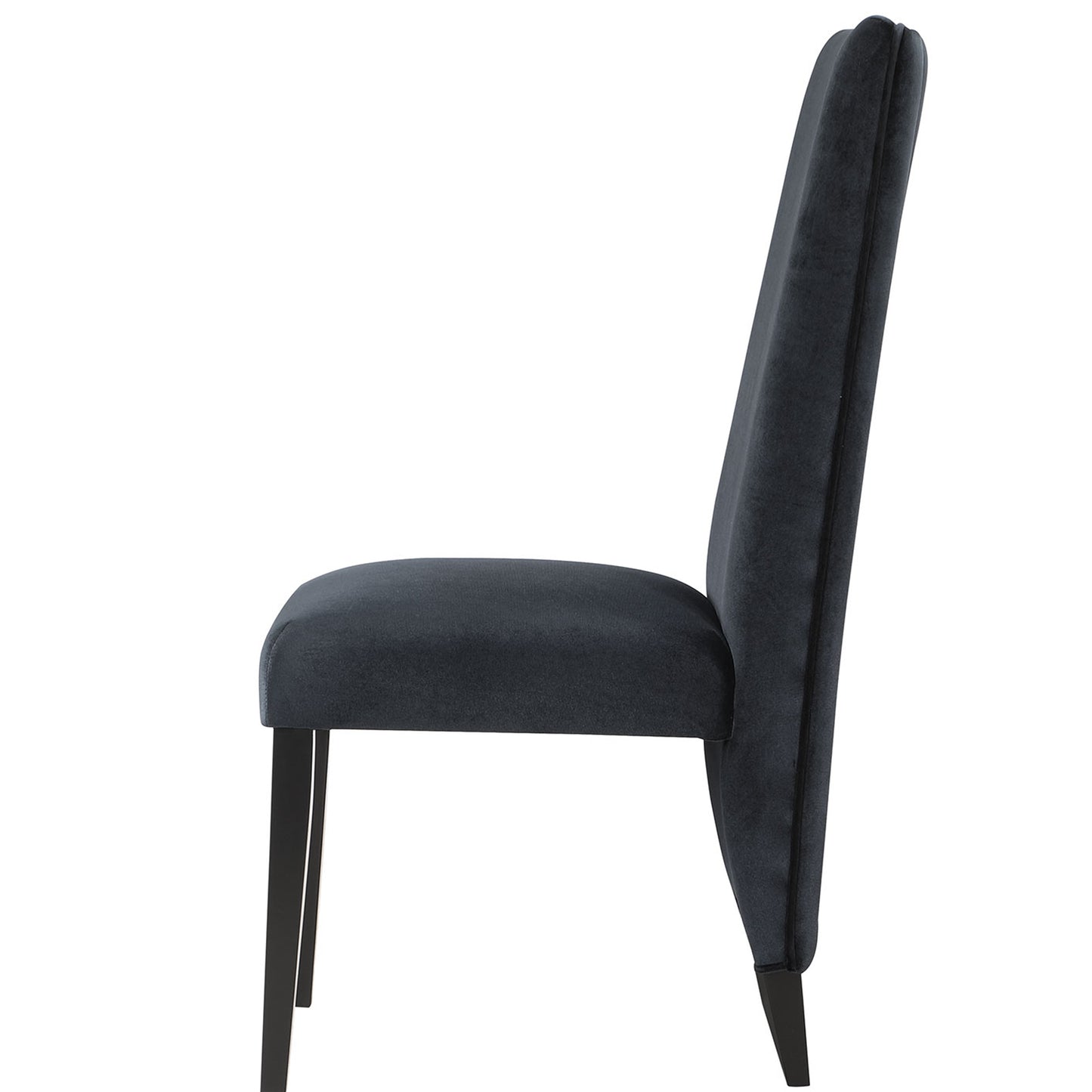 STACEY Black Dining Chairs Set of 2 - Modern Side Chairs