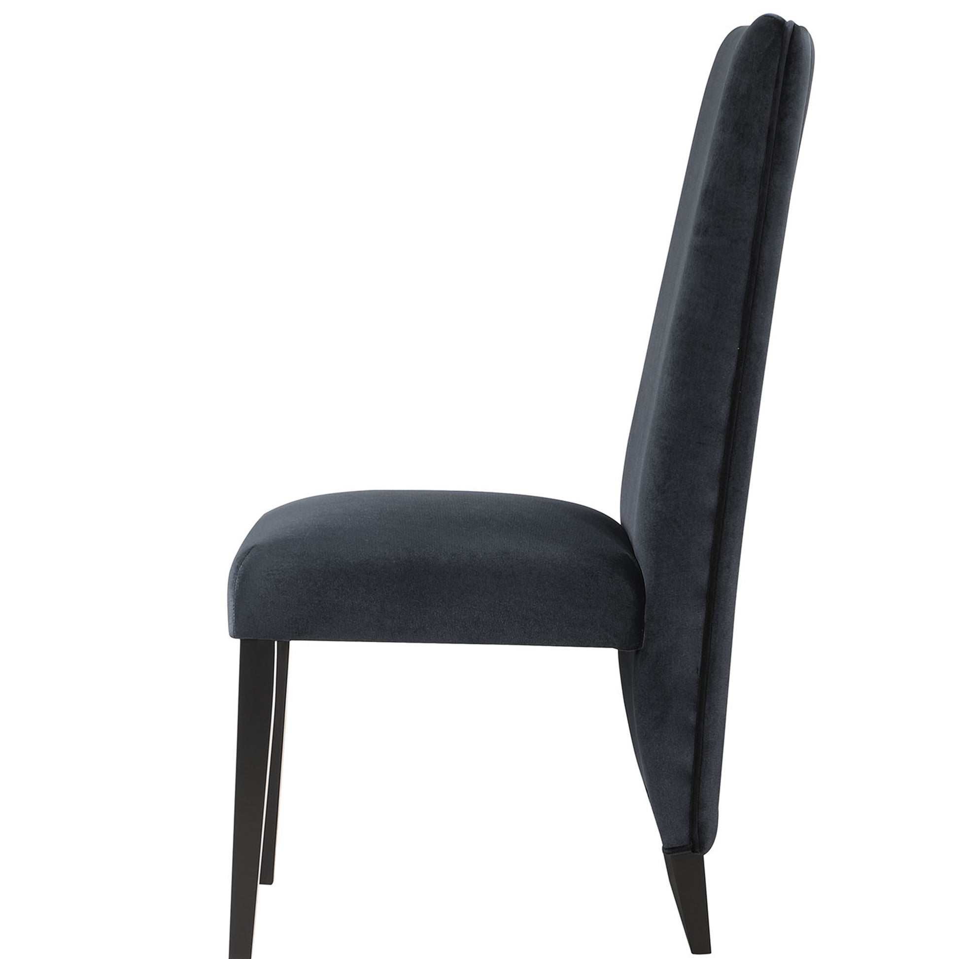 STACEY Black Dining Chairs Set of 2 - Modern Side Chairs