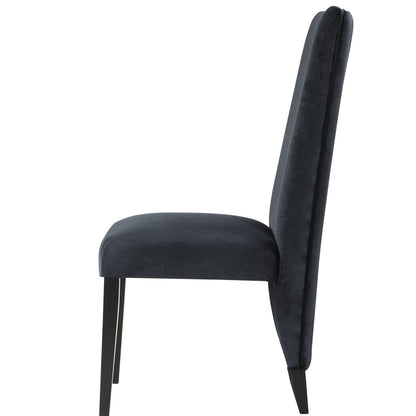 STACEY Black Dining Chairs Set of 2 - Modern Side Chairs