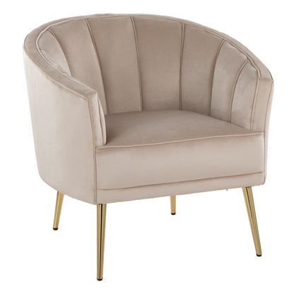 Contemporary Accent Chair in Gold Metal and Champagne Velvet