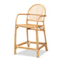 Modern Bohemian Natural Brown Rattan Counter Stool