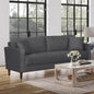 Contemporary Gray Sofa - 2 Seat Plush Comfort for Living Room