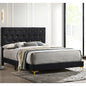 James Black Upholstered Queen Panel Bed
