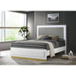 Sophia White Wood Queen LED Panel Bed
