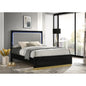 Sophia Black Wood Queen LED Panel Bed