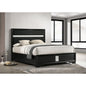 Annie Black 54-inch Upholstered Queen Panel Bed