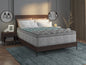 Restonic Comfort Care 10" Hybrid, Euro Top,  Individual Pocketed Coil Mattress , Plush Comfort, Queen