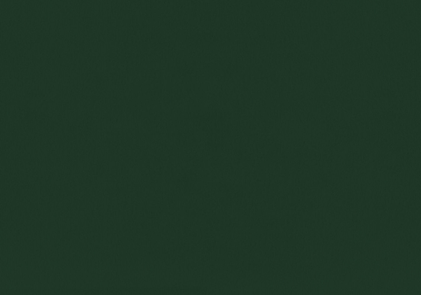 Twin Size Green Velvet Upholstered Bed Frame for Bedroom
