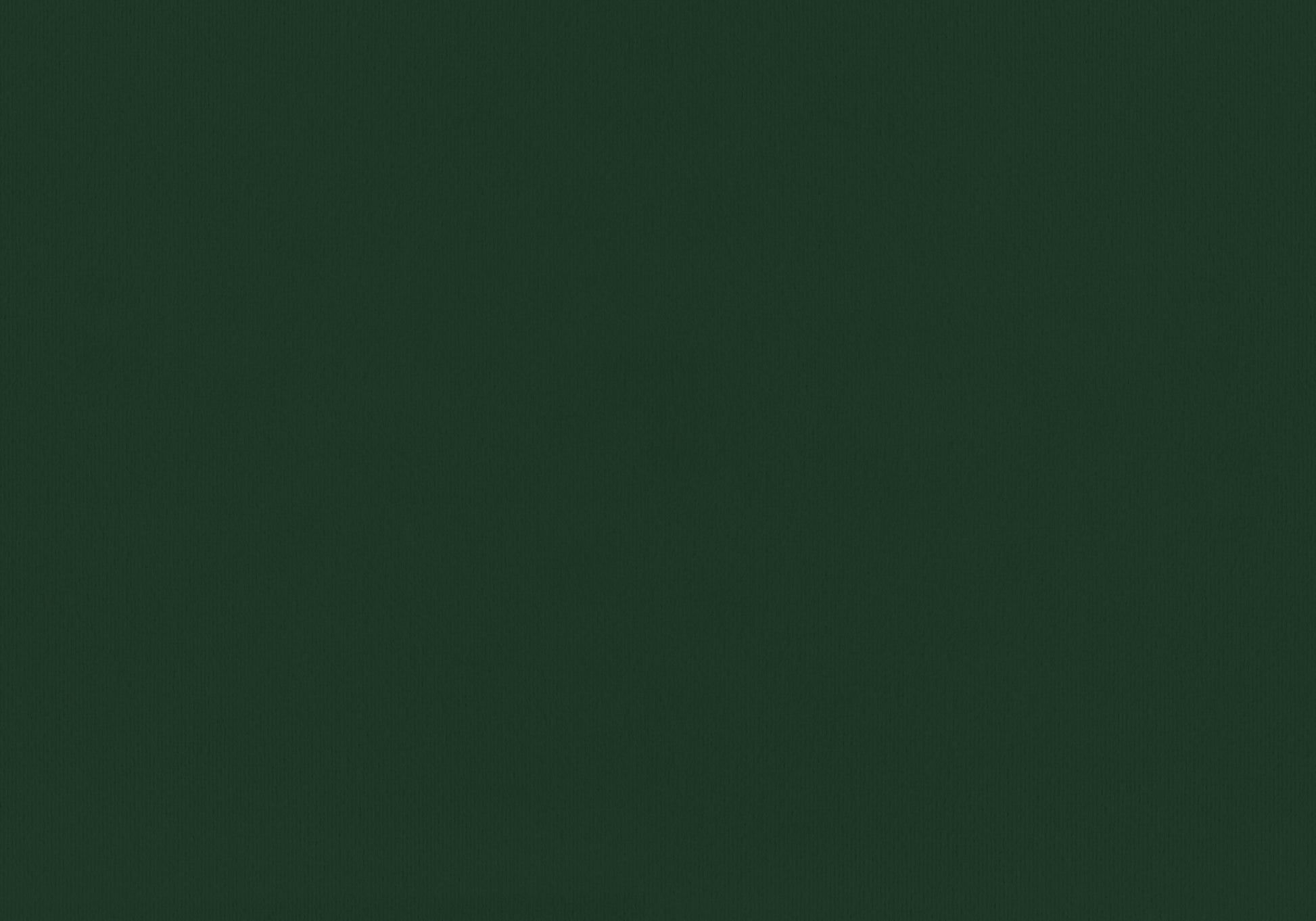 Twin Size Green Velvet Upholstered Bed Frame for Bedroom