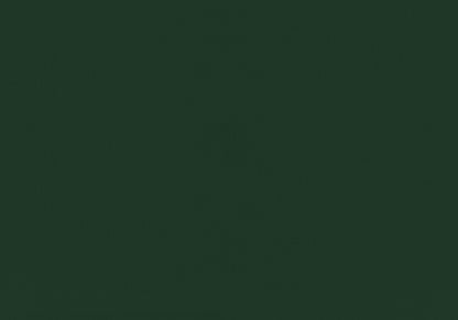 Twin Size Green Velvet Upholstered Bed Frame for Bedroom