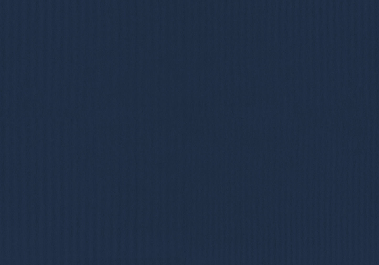 Navy Blue Velvet Upholstered Twin Bed Frame - Youth Bedroom