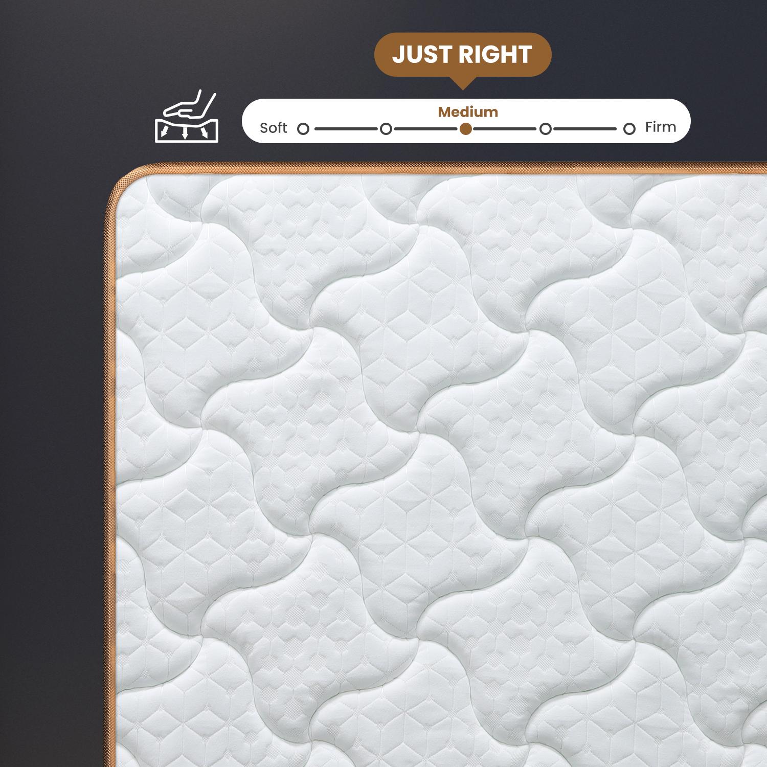 Full Size Plush Memory Foam Mattress - White+Black Modern