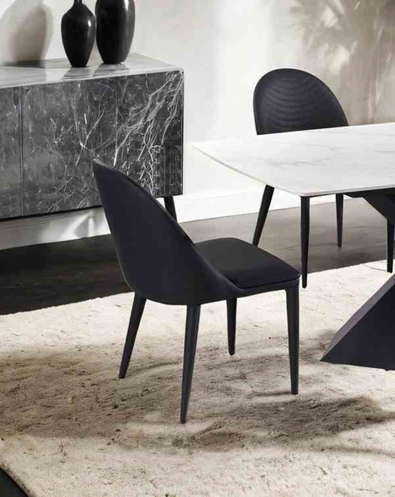 Black Contemporary Side Chair - 2 Piece Dining Set