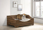 Gino 36"W Brown Alder Wood Finish 36"W Modern Comfy Pet Bed with Cushion